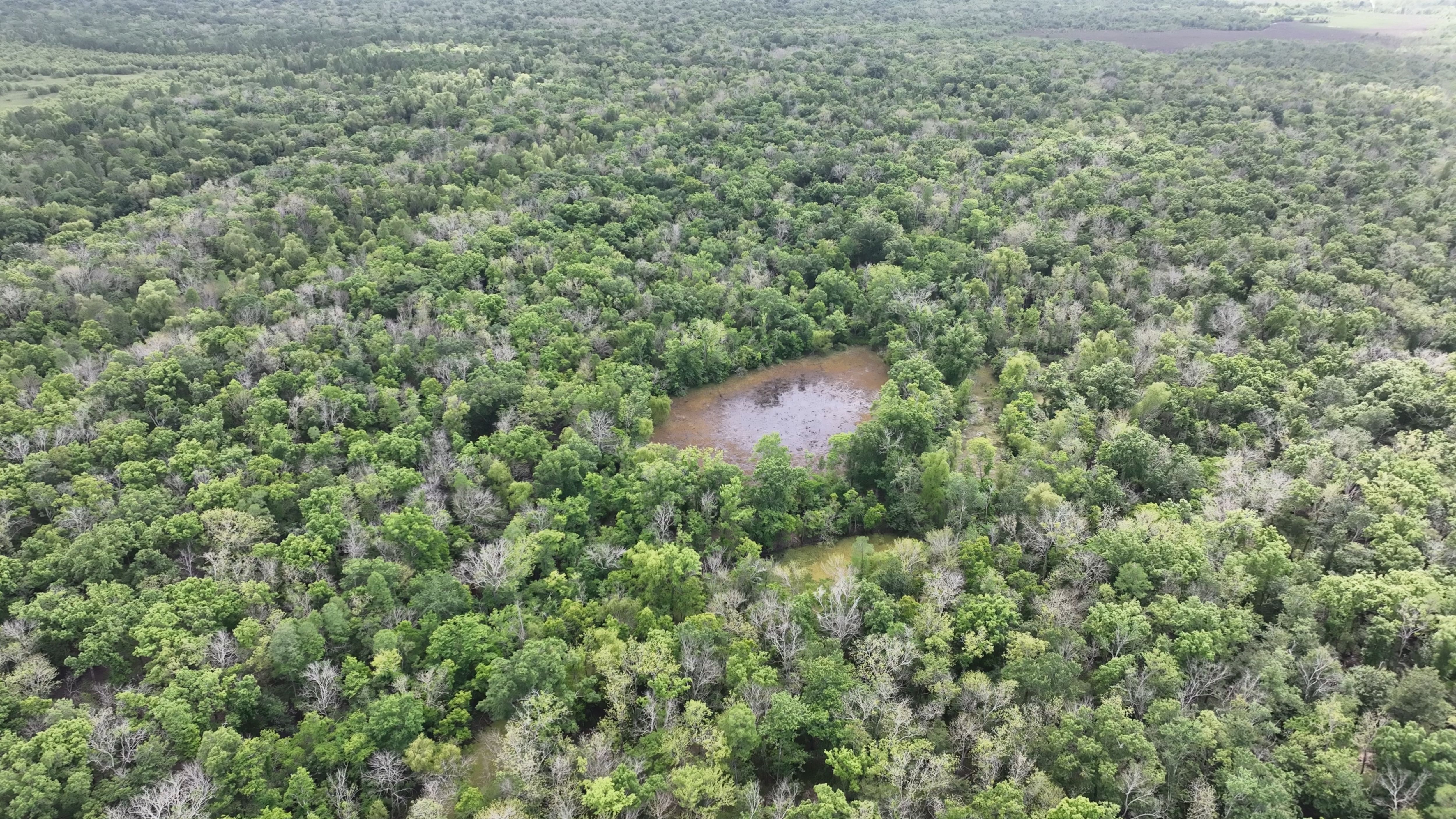 Listing Photo: Iberville Parish Duck hole
